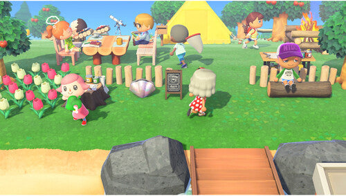 Animal Crossing: New Horizons — New — Nintendo Switch 2